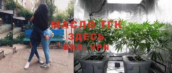 молекула духа Арсеньев