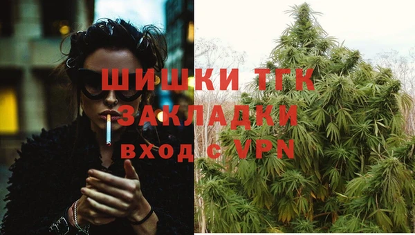 молекула духа Арсеньев