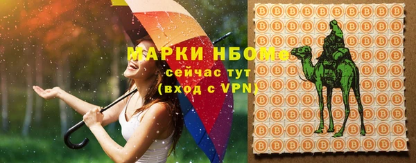 молекула духа Арсеньев