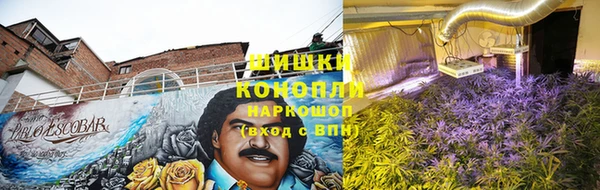 гашик Заволжье