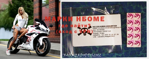 молекула духа Арсеньев