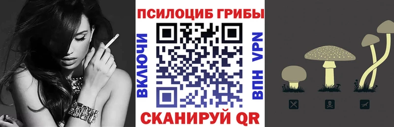 Псилоцибиновые грибы GOLDEN TEACHER  как найти закладки  Приморско-Ахтарск 